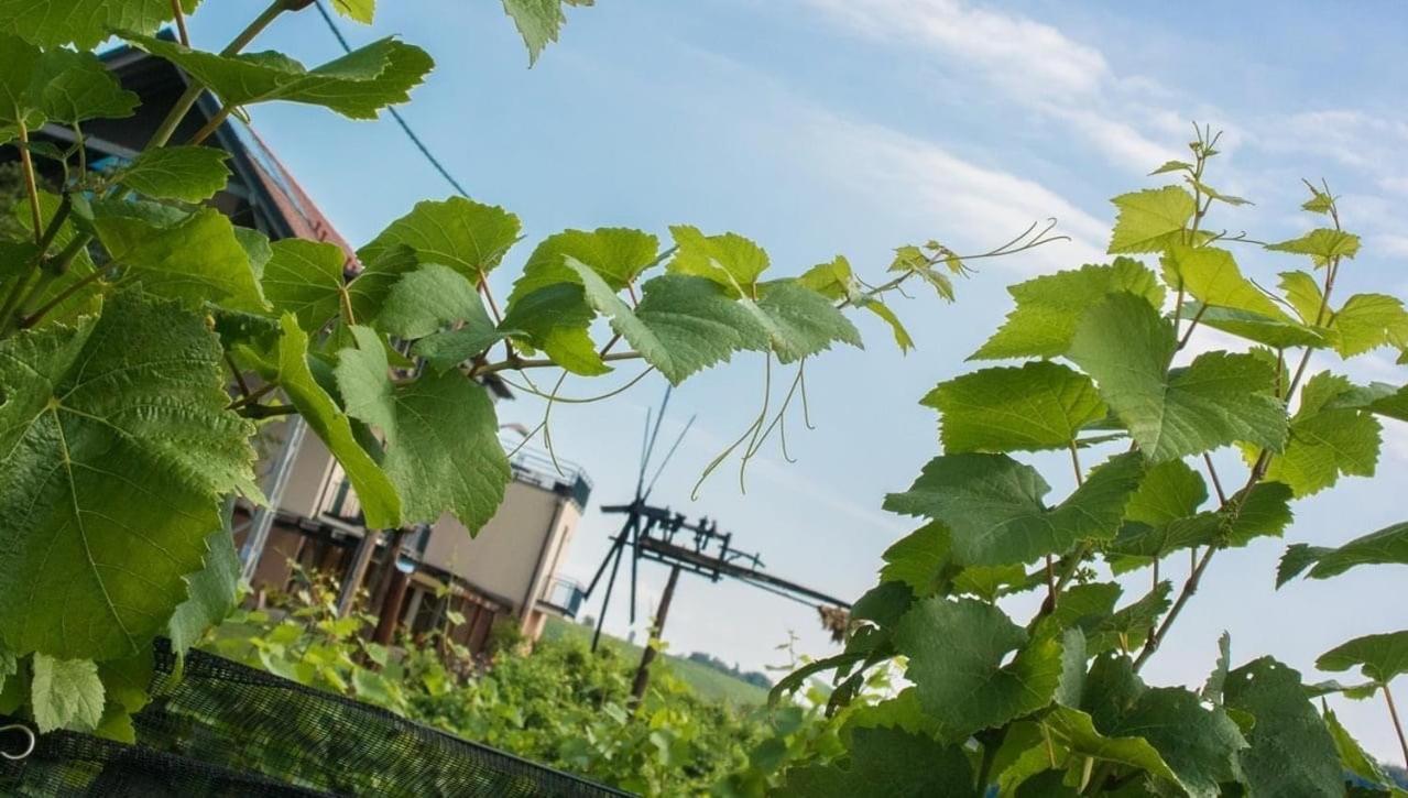 Weingut Gästezimmer Zweytick Robert Ratsch an der Weinstraße Exterior foto