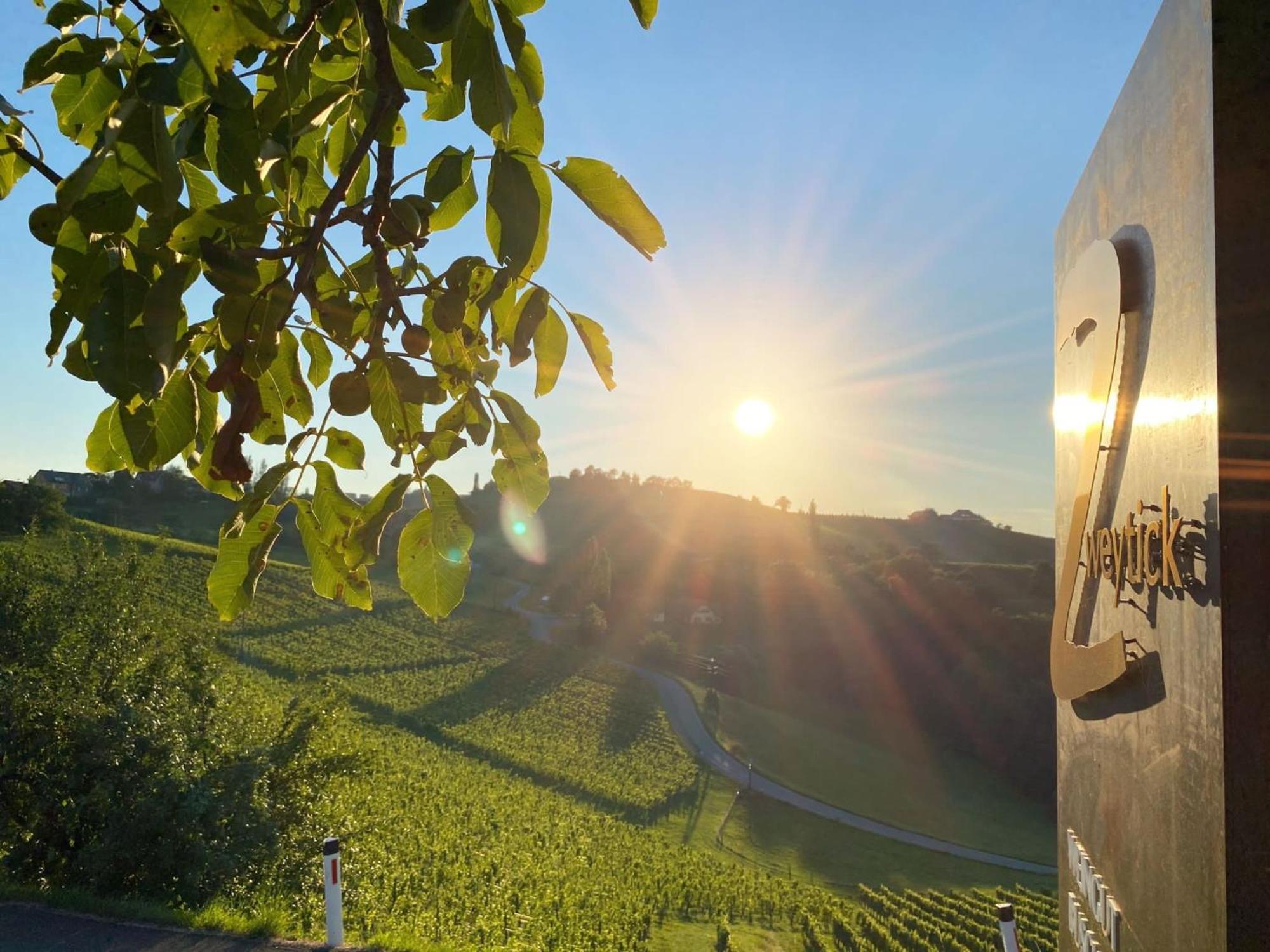 Weingut Gästezimmer Zweytick Robert Ratsch an der Weinstraße Exterior foto