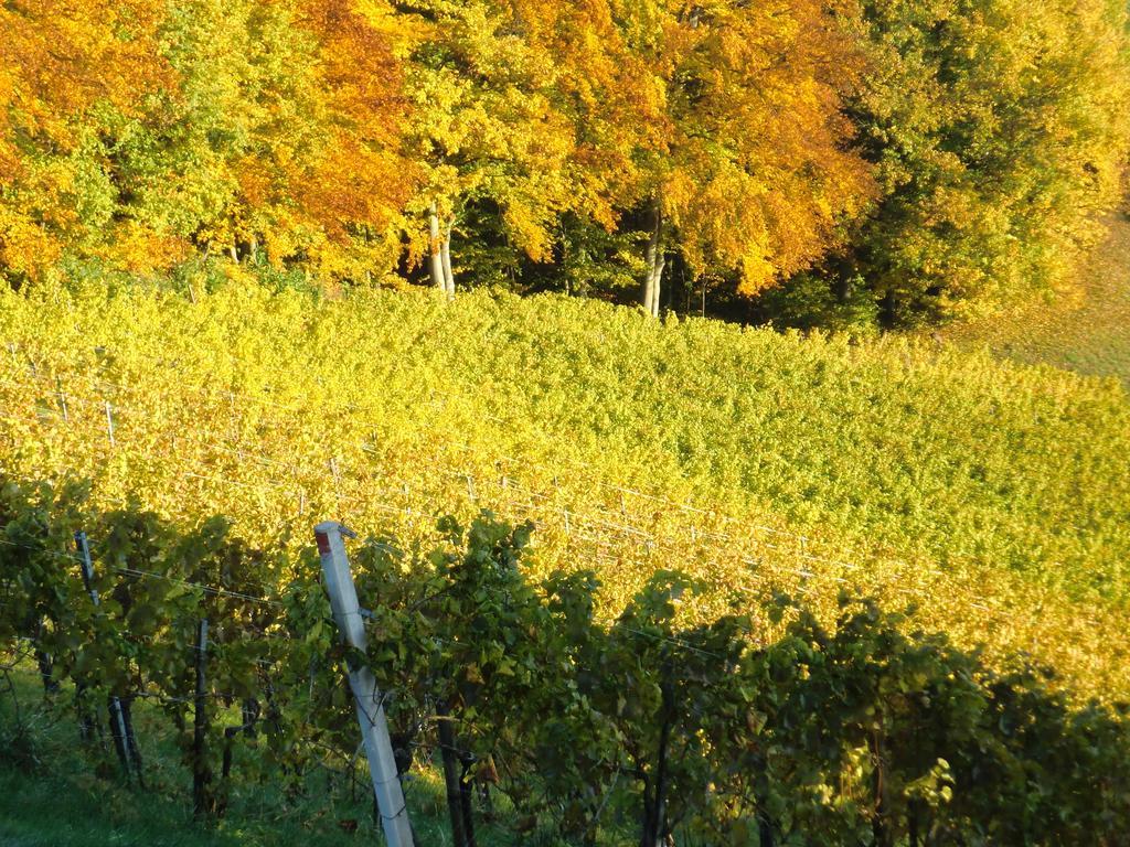 Weingut Gästezimmer Zweytick Robert Ratsch an der Weinstraße Exterior foto