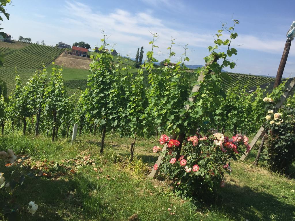 Weingut Gästezimmer Zweytick Robert Ratsch an der Weinstraße Exterior foto