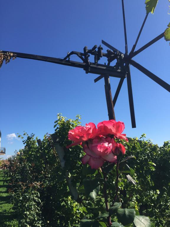 Weingut Gästezimmer Zweytick Robert Ratsch an der Weinstraße Exterior foto