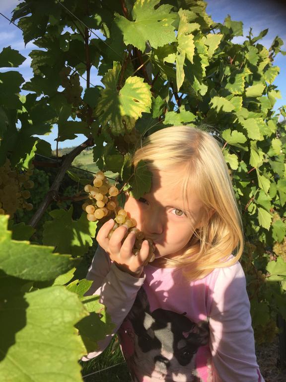Weingut Gästezimmer Zweytick Robert Ratsch an der Weinstraße Exterior foto